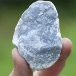 ангелит порода