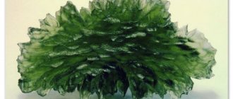 Czech stone Vltavin (Moldavite) - properties, origin, jewelry made from vltavin, is it possible to buy vltavin in Prague?