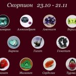 для скорпиона