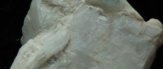 Доломит крупнокристаллический с тальком и кварцем (Восточные Саяны)