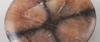 Chiastolite