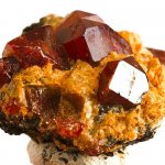 История и происхождение