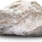 Известняк горная порода