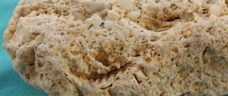 Limestone stone and its properties