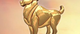 Stone according to the zodiac sign Aries woman and man