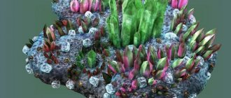 Crystals