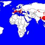 Месторождения актинолита