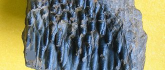 Sagging, mineralogical plumb line