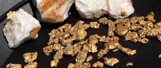 Raw gold in stones