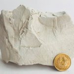 Применение