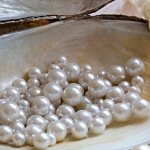 Природный или культивированный?