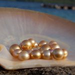 Shell with pearls
