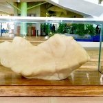 Самая крупная жемчужина