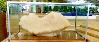 The largest pearl