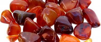 Cornelian.