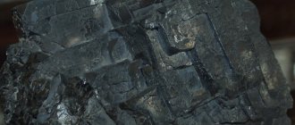 An intergrowth of galena crystals with forms of uneven development on the faces and edges of the cube. Primorye Dalnegorsoke field