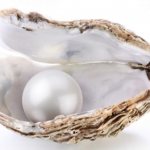 Жемчужина в раковине