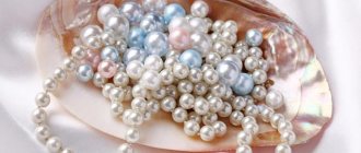 pearls in the shell