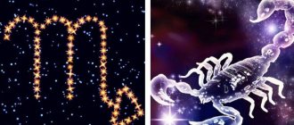 Знак зодиака - Скорпион