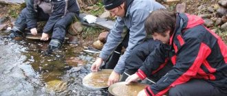 Золото в истории